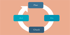 Aprenda sobre o ciclo do PDCA